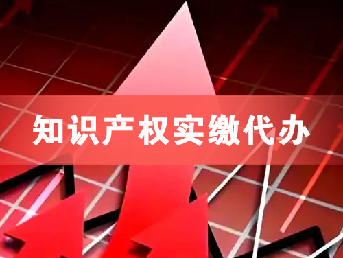 津市知识产权实缴资本代办